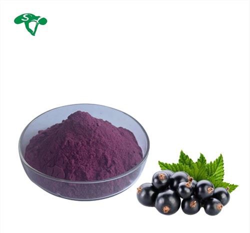Maqui Berry Extract Powder